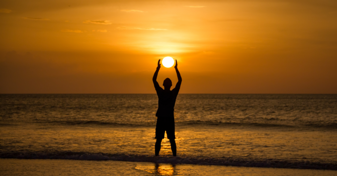 Understanding the Endocannabinoid System