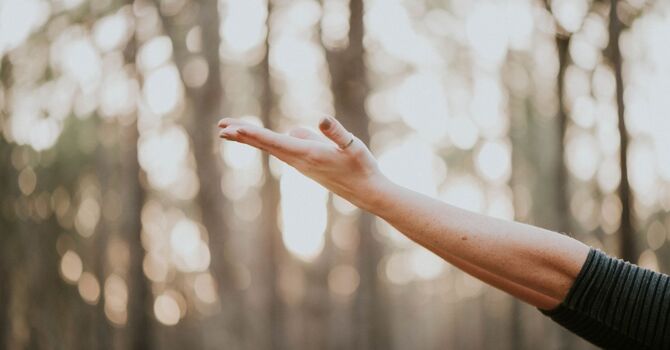 Understanding the Endocannabinoid System